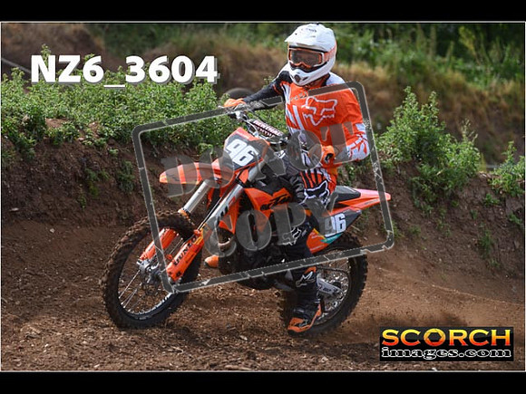 Experts-031