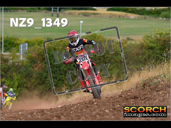 IntersBlue-211