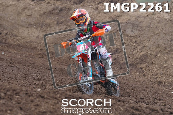 IMGP2261