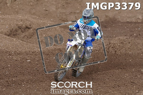 IMGP3379
