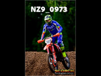 roosterPH-013