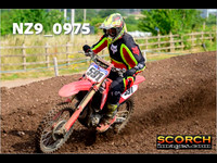 roosterPH-015