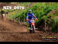 roosterPH-016