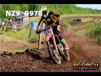roosterPH-018