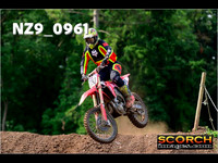 roosterPH-001