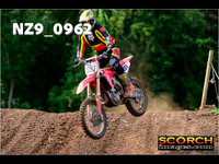 roosterPH-002