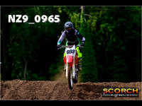 roosterPH-005