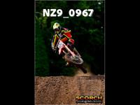 roosterPH-007
