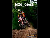 roosterPH-008