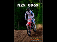 roosterPH-009