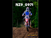 roosterPH-011