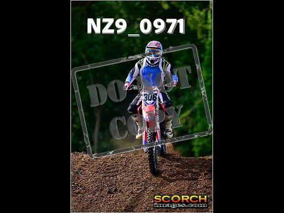roosterPH-011