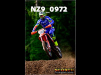 roosterPH-012