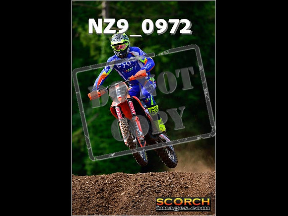 roosterPH-012