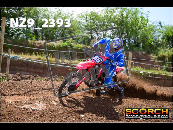 InterBlue-203