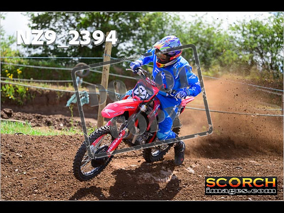 InterBlue-204