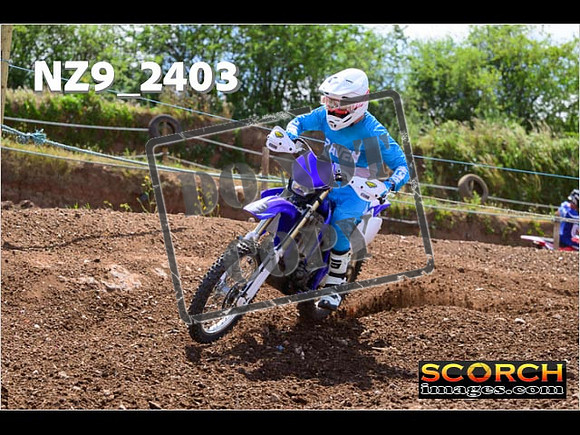 InterBlue-213