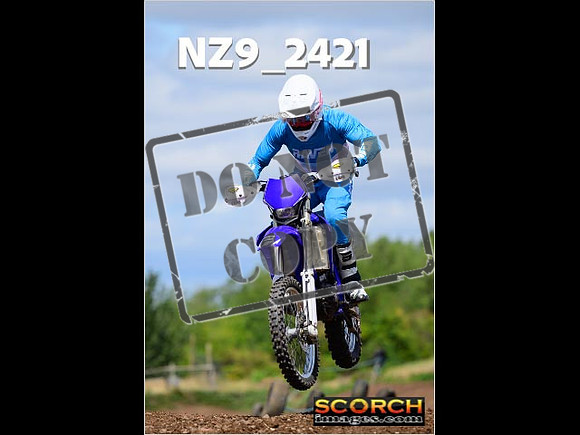 InterBlue-231