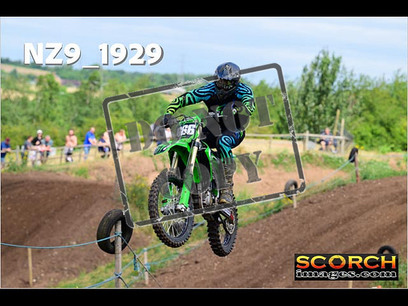 InterGreen-028