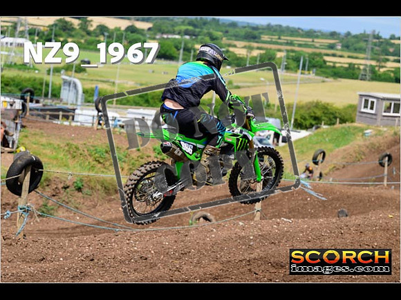 InterGreen-065