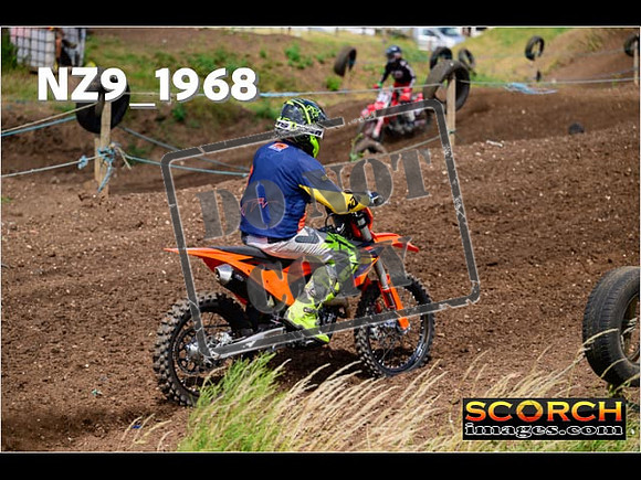 InterGreen-066