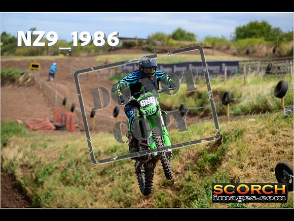 InterGreen-083