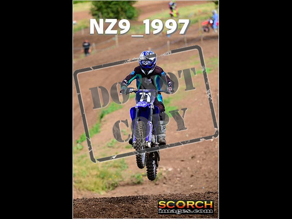 InterGreen-093