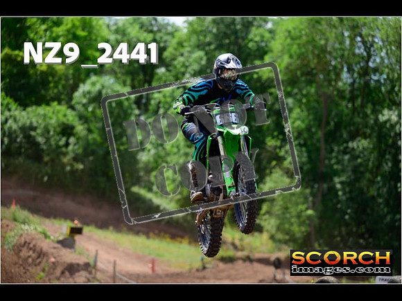 InterGreen-135