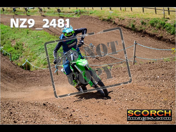 InterGreen-175