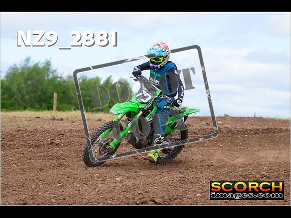 InterGreen-237