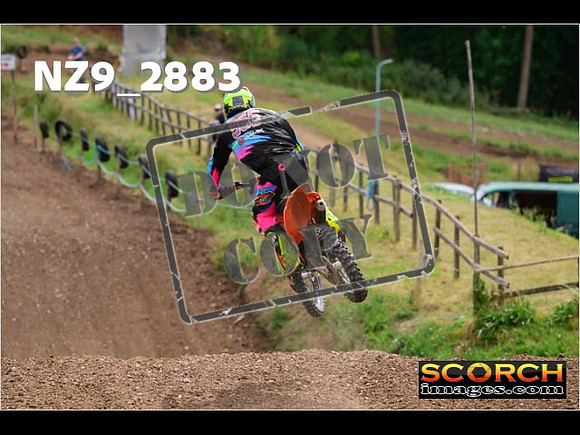 InterGreen-239