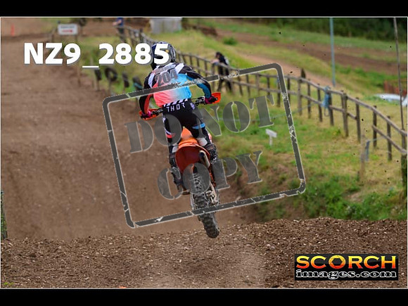 InterGreen-241