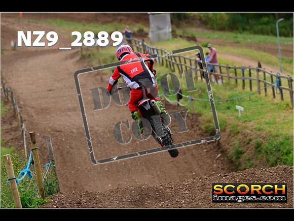 InterGreen-245