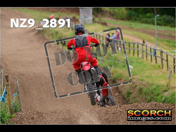 InterGreen-247