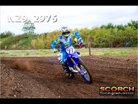 Experts-013