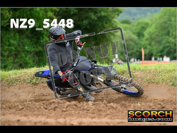 Experts-379