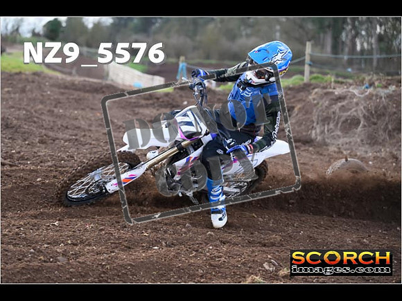 Experts-084