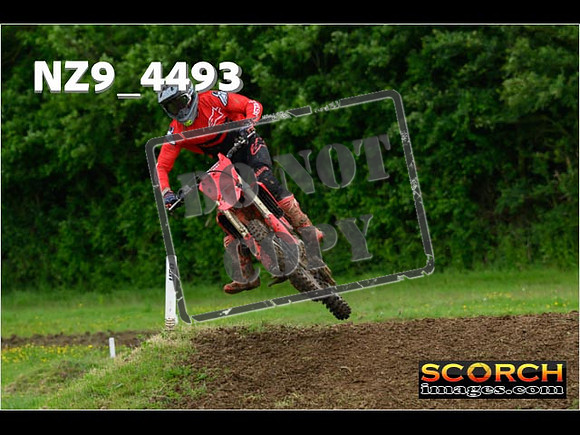 Experts-210