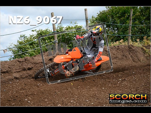 Experts-132