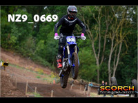 Experts-010