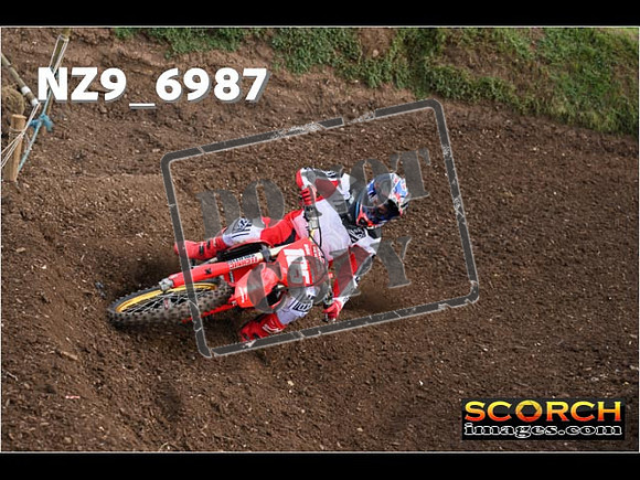 Experts-062
