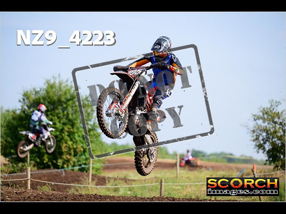 Experts-113