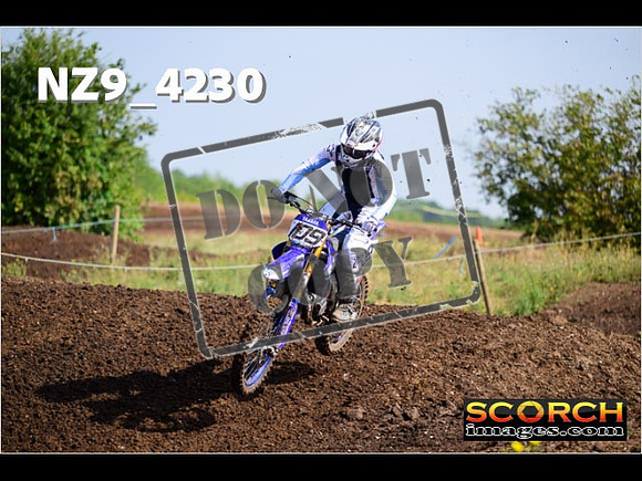 Experts-119