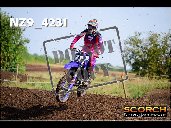 Experts-120