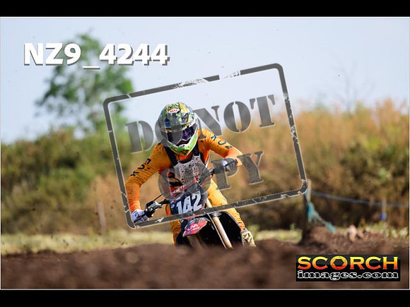 Experts-131