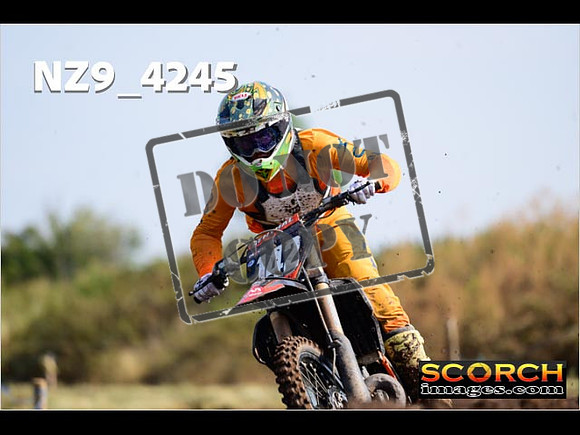 Experts-132