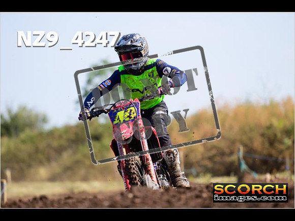 Experts-134