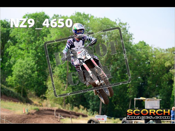 Experts-137
