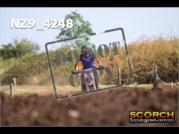 Experts-135