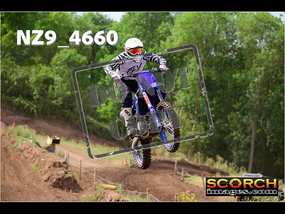 Experts-146